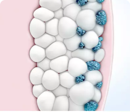 fat cells disappearing from fat tissue